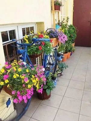 Miodowa Kazimierz Apartment Krakow Poland